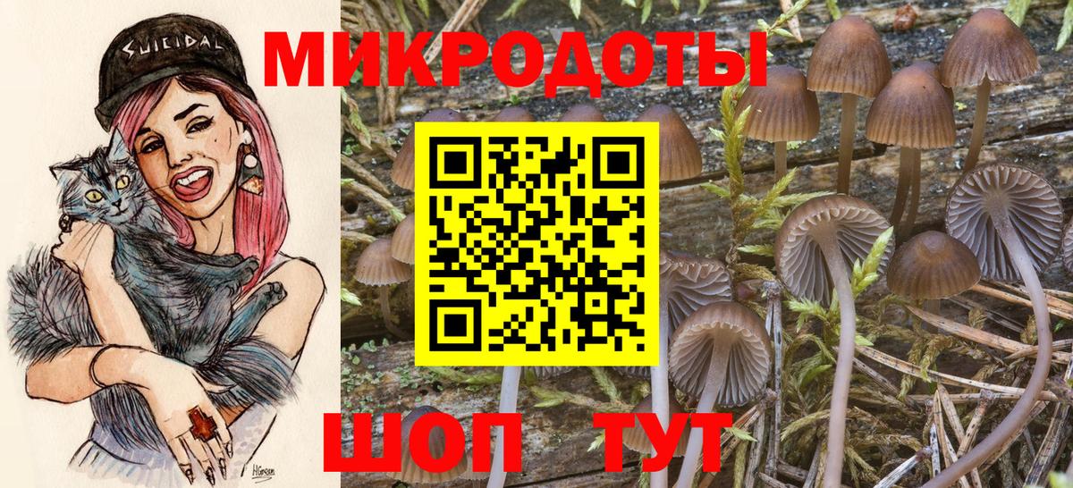 Псилоцибиновые грибы прущие грибы Ивантеевка