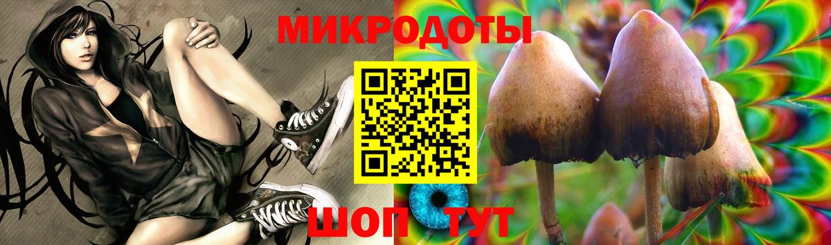 Галлюциногенные грибы прущие грибы  купить наркотик  Ивантеевка  Вход с VPN  Галлюциногенные грибы Magic Shrooms 